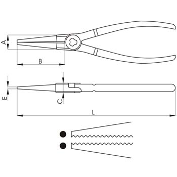 PAL-24_2-E